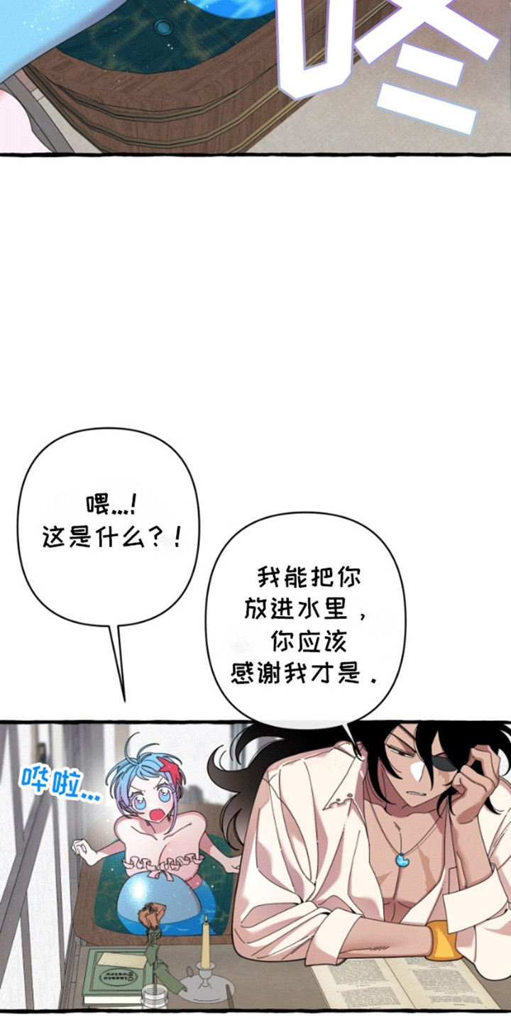 美人鱼的夏天在线免费观看漫画,第6章：交换2图