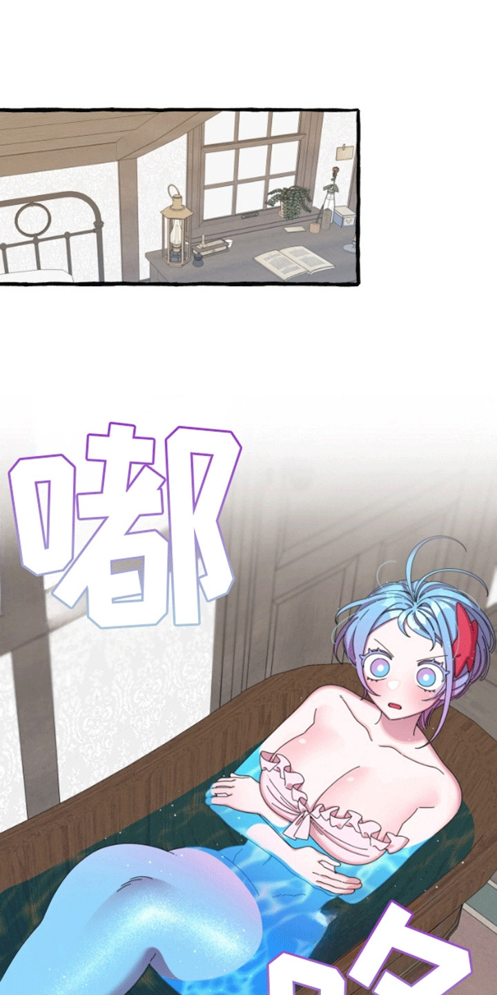 美人鱼的夏天在线免费观看漫画,第6章：交换1图