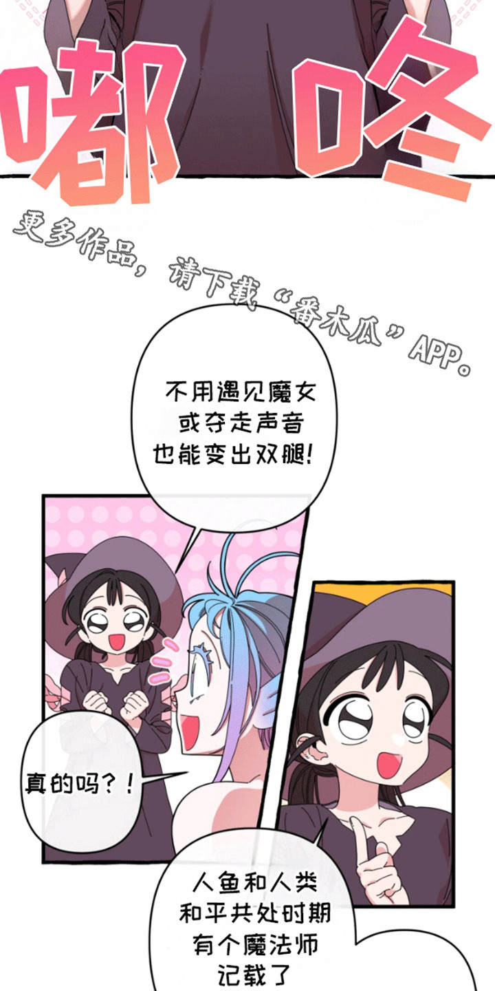 美人鱼的憧憬漫画,第7章：魔法师1图