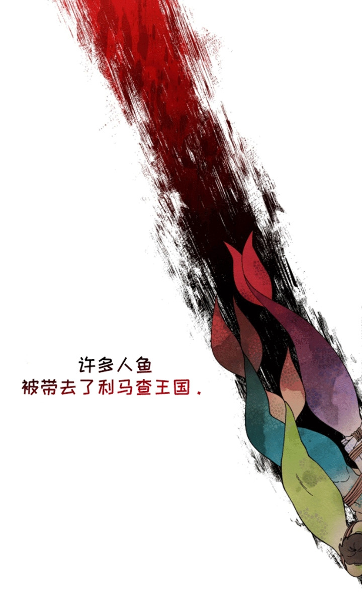 美人鱼的夏天动画电影免费观看完整版星辰影院漫画,第1章：人鱼的眼泪2图