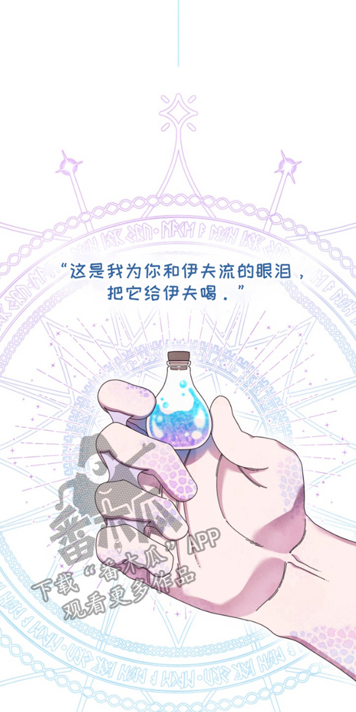 美人鱼的旋律2中文版漫画,第1章：人鱼的眼泪4图