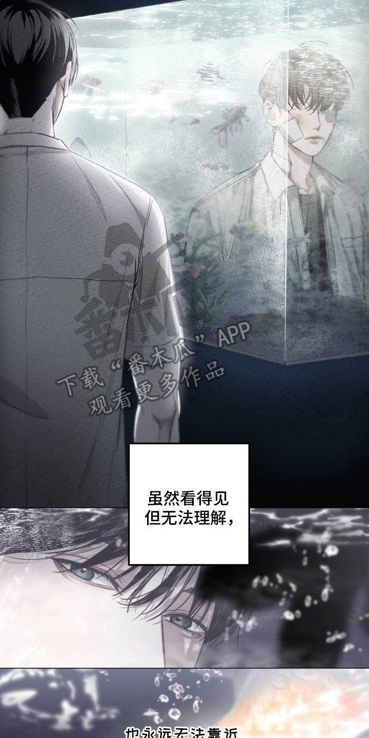 爱你无需多言漫画,第1章：暗恋对象2图