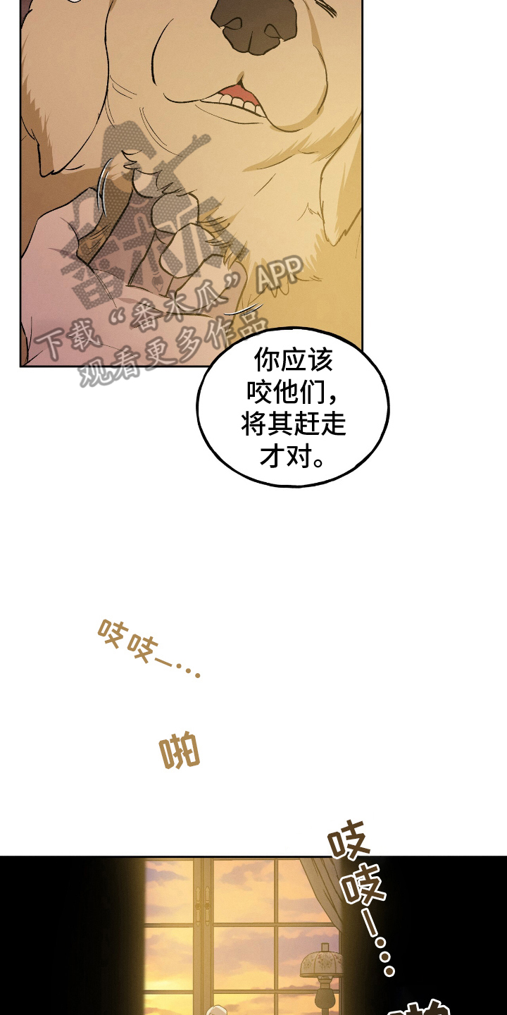 消失的琴声漫画,第2章：为何而来1图