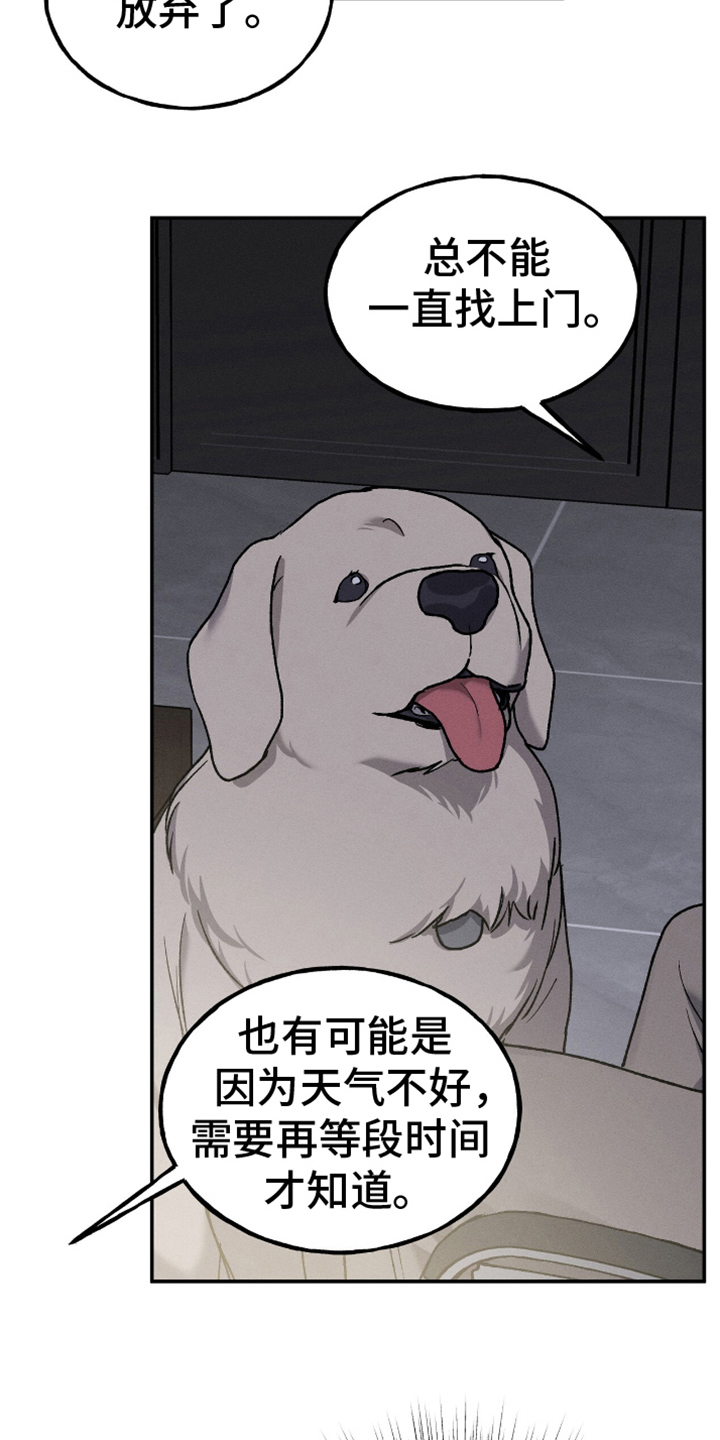 消失的旋律漫画,第10章：解决师2图