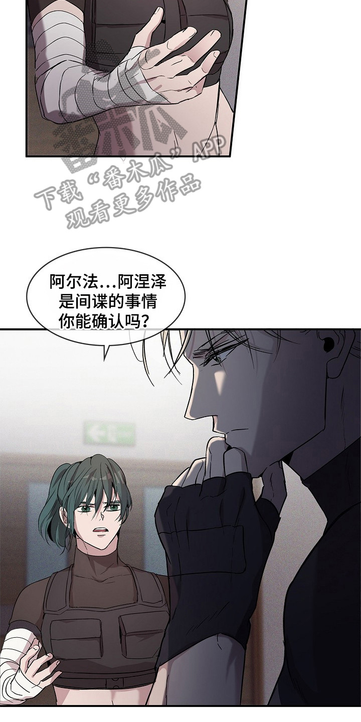 卧底阿波里亚漫画,第22章：报告3图