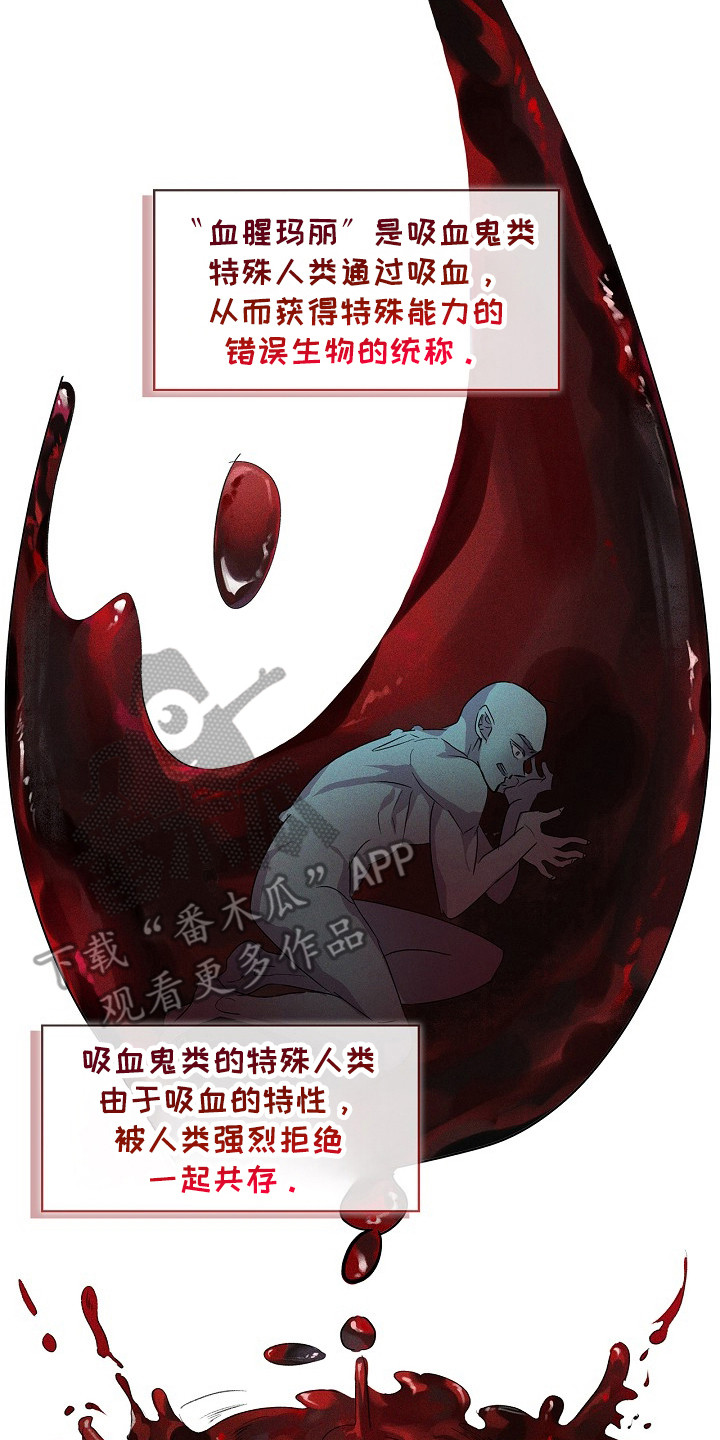 卧底阿波里亚漫画,第18章：血腥玛丽4图