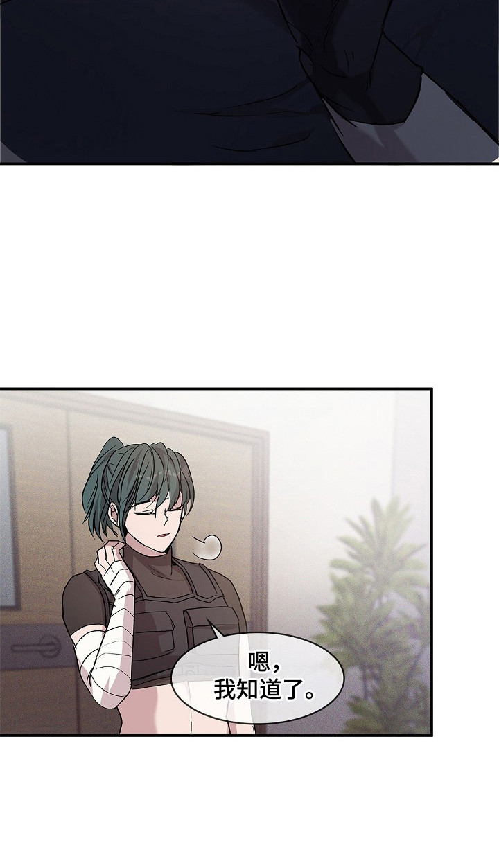 卧底阿波里亚漫画,第22章：报告5图