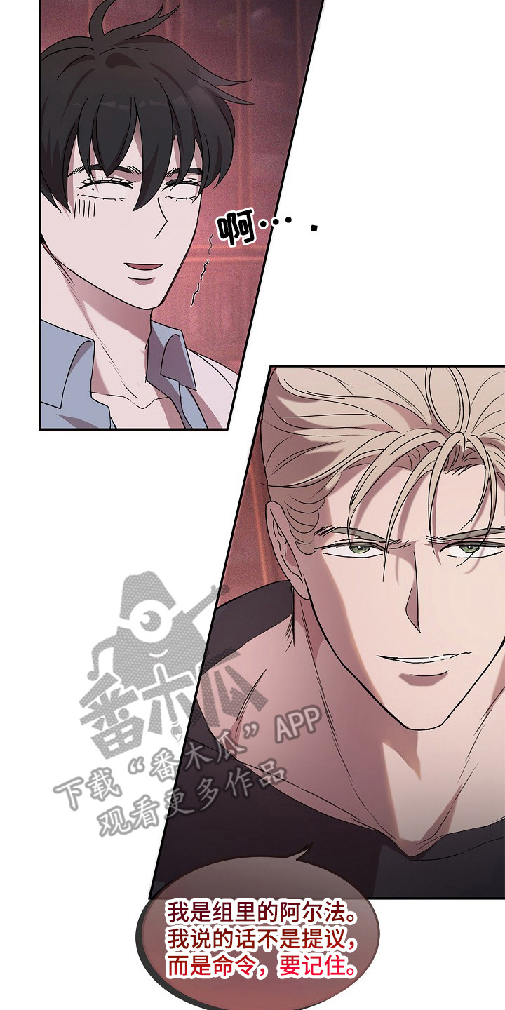 卧底阿波里亚漫画,第12章：危险情报4图