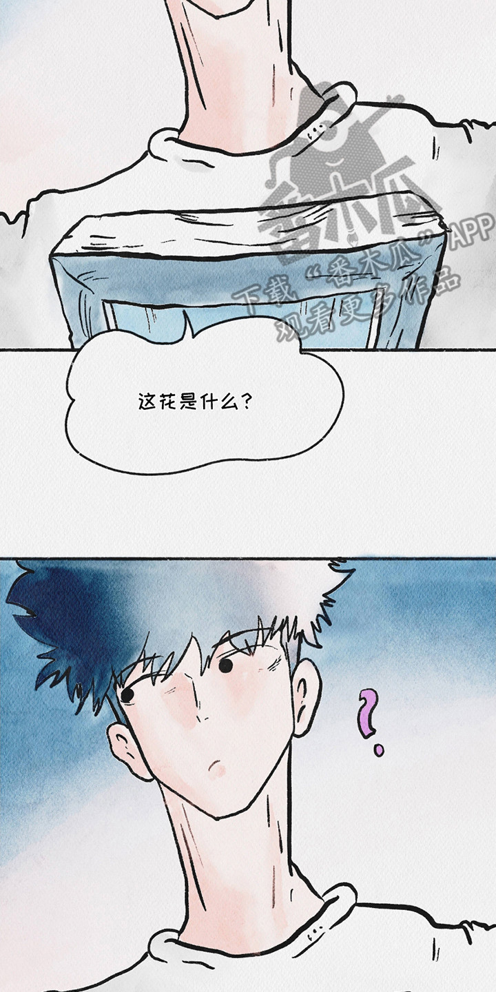 云雾传奇漫画,第9章：照片5图