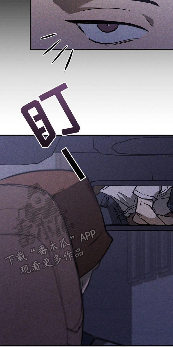 向导自救指南漫画,第24章：后备箱3图