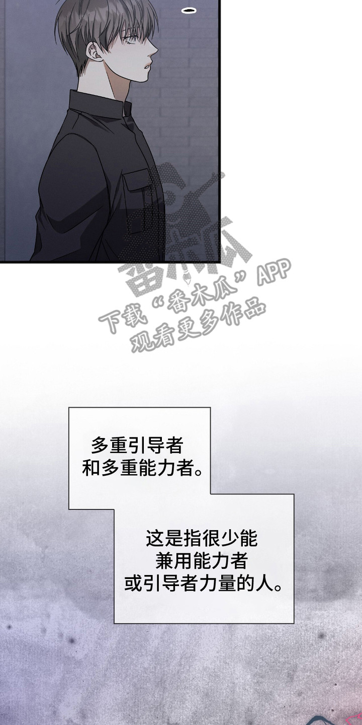 穿书自救指南小说免费漫画,第20章：多重引导者2图