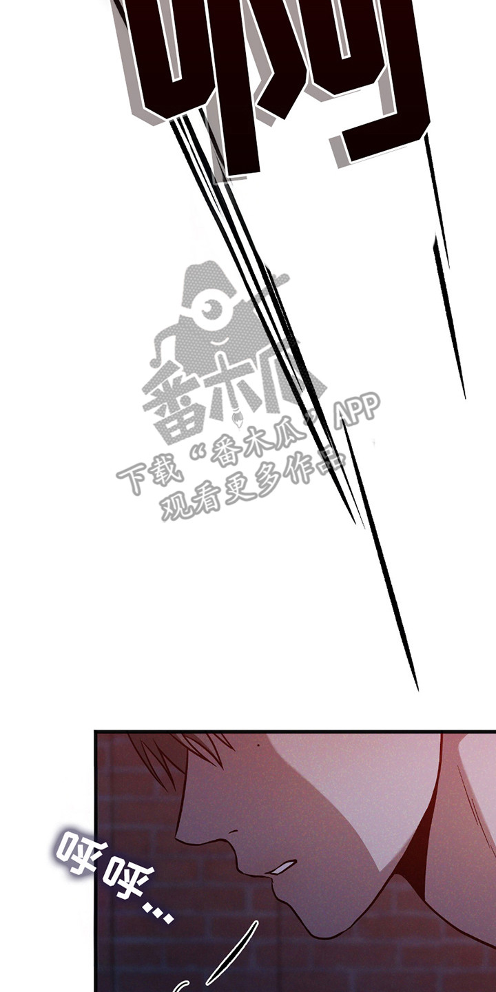 向导自救指南免费阅读漫画,第26章：疯子5图