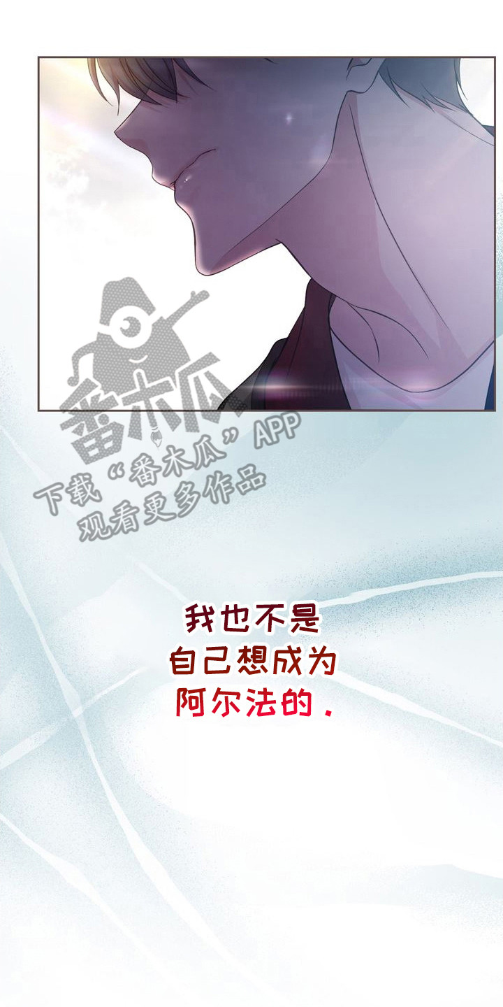 第27章：飞奔回去1