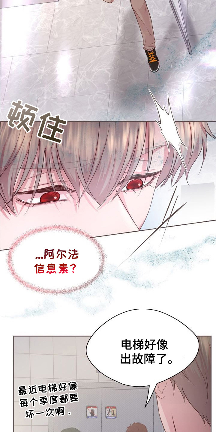 第27章：飞奔回去3