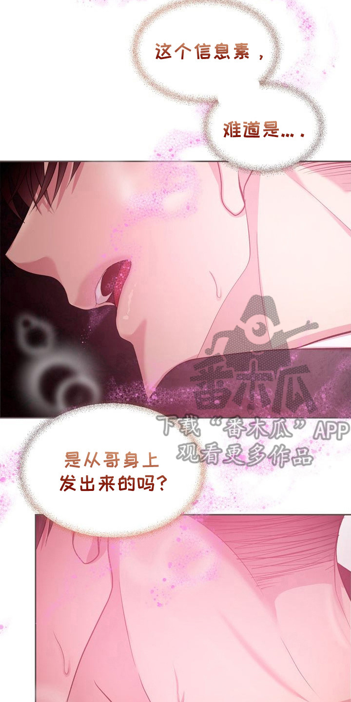 命运伴侣漫画,第28章：很浓烈2图