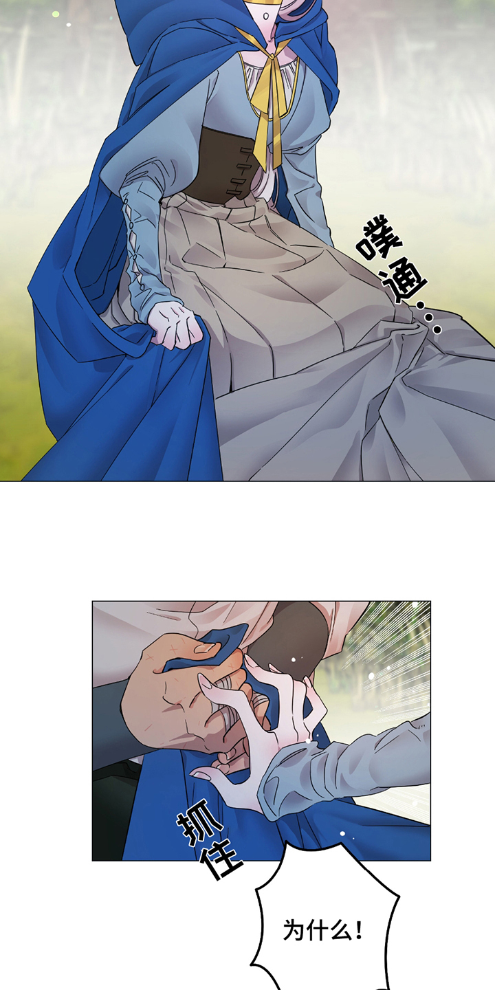 守护我女骑士漫画,第6章：曾经的见习骑士2图