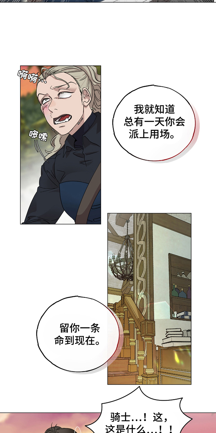 守护我女骑士漫画,第4章：掌控5图