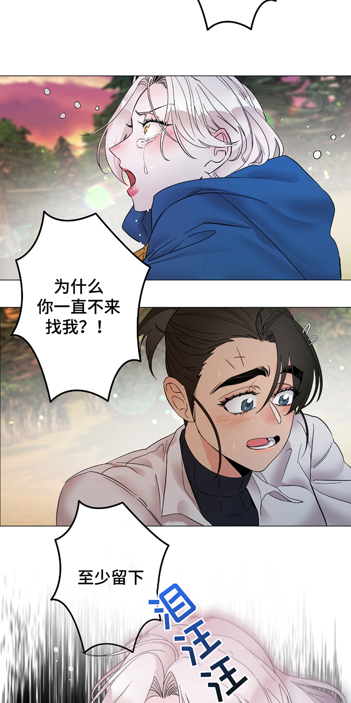 守护我女骑士漫画,第6章：曾经的见习骑士3图