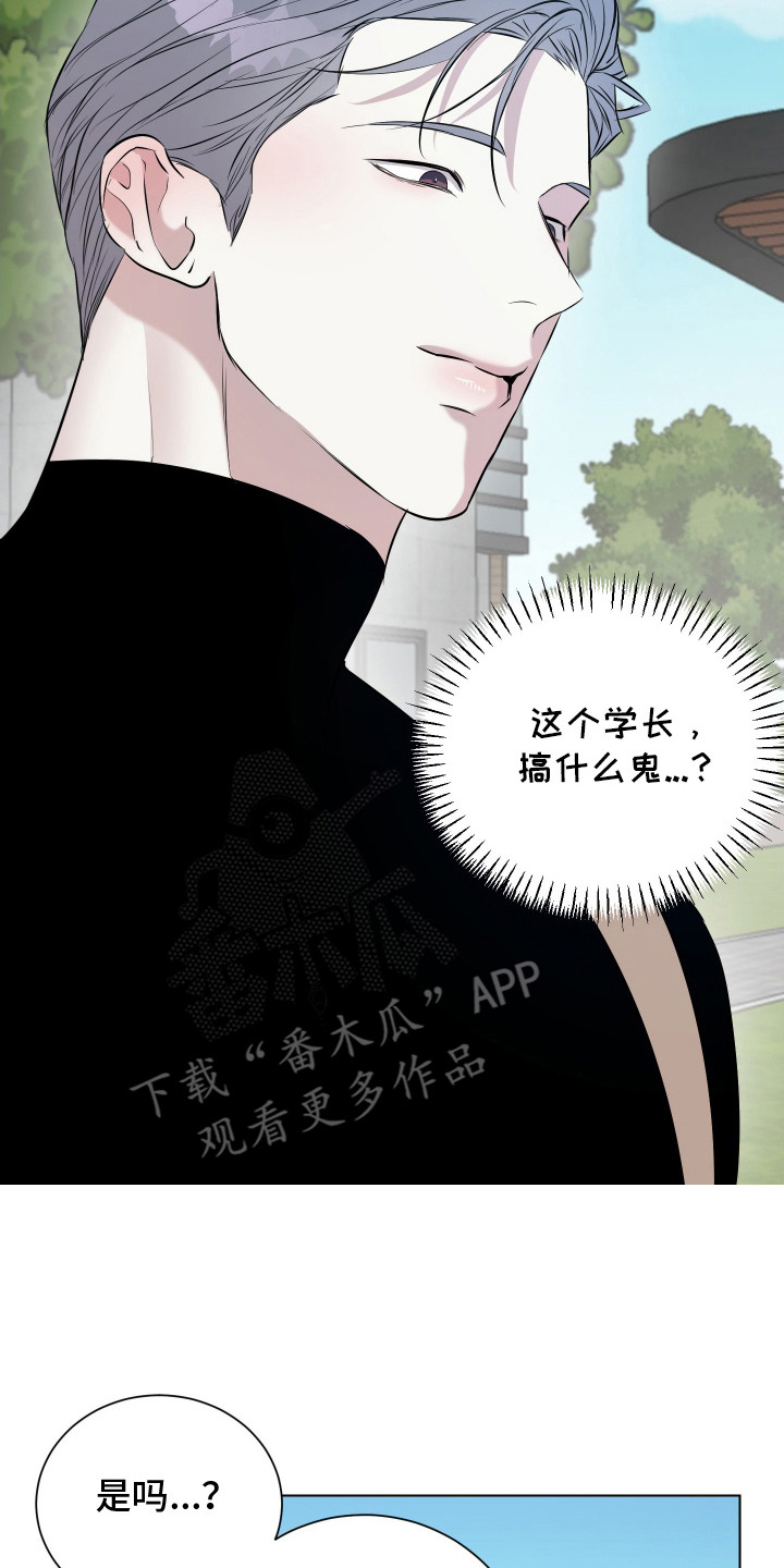 红蛇梦魇漫画,第5章：担心2图