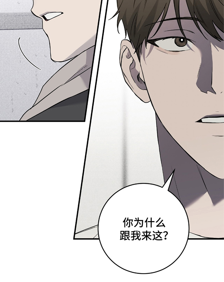 我的发小是同志漫画,第11章：一起撑伞4图