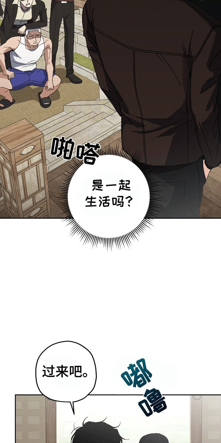不是冤家不聚头漫画,第11章：黑帮老巢2图