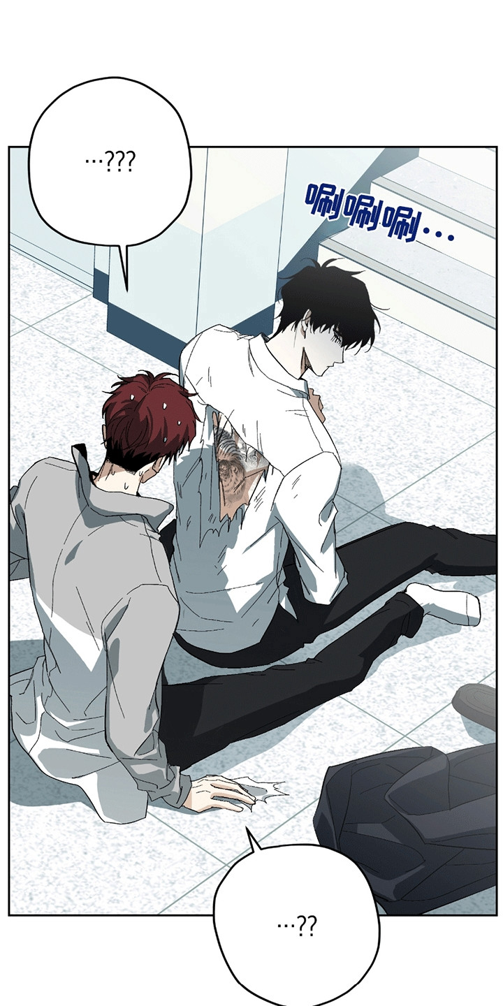 不是冤家不聚头漫画,第3章：背上的老虎1图