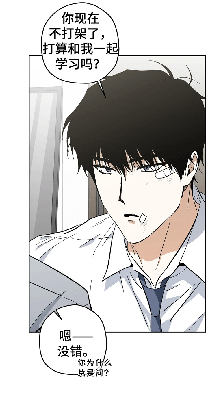 不是冤家不聚头漫画,第17章：难言之隐4图