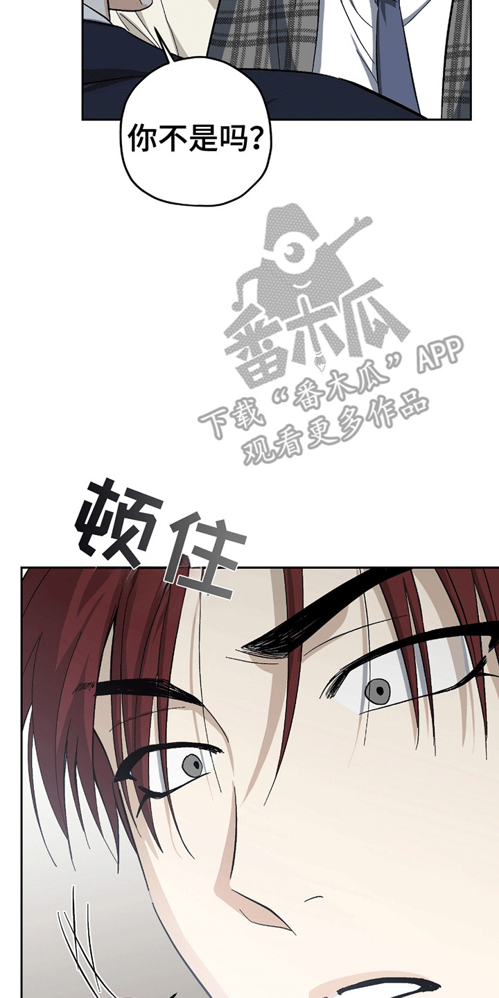 不是冤家不聚头漫画,第21章：喜欢你（完结）5图