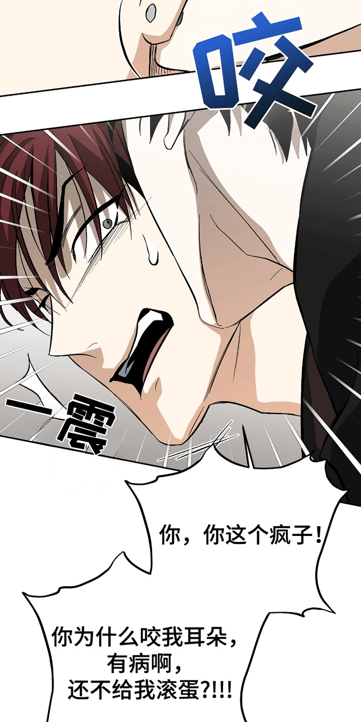 不是冤家不聚头漫画,第12章：学习2图