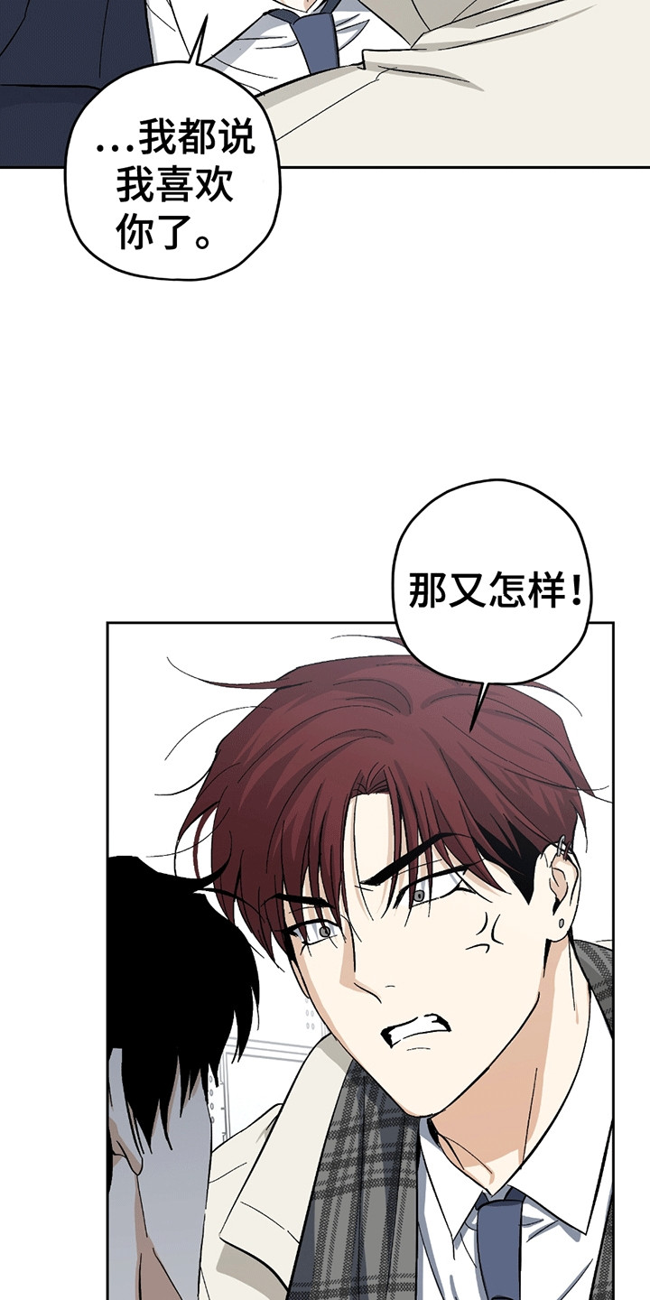 不是冤家不聚头漫画,第21章：喜欢你（完结）4图