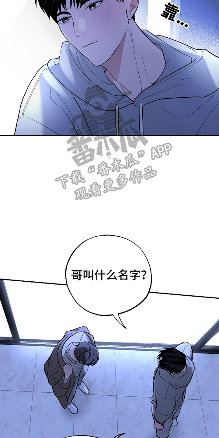 茄子爱上猫漫画,第3章：命运4图