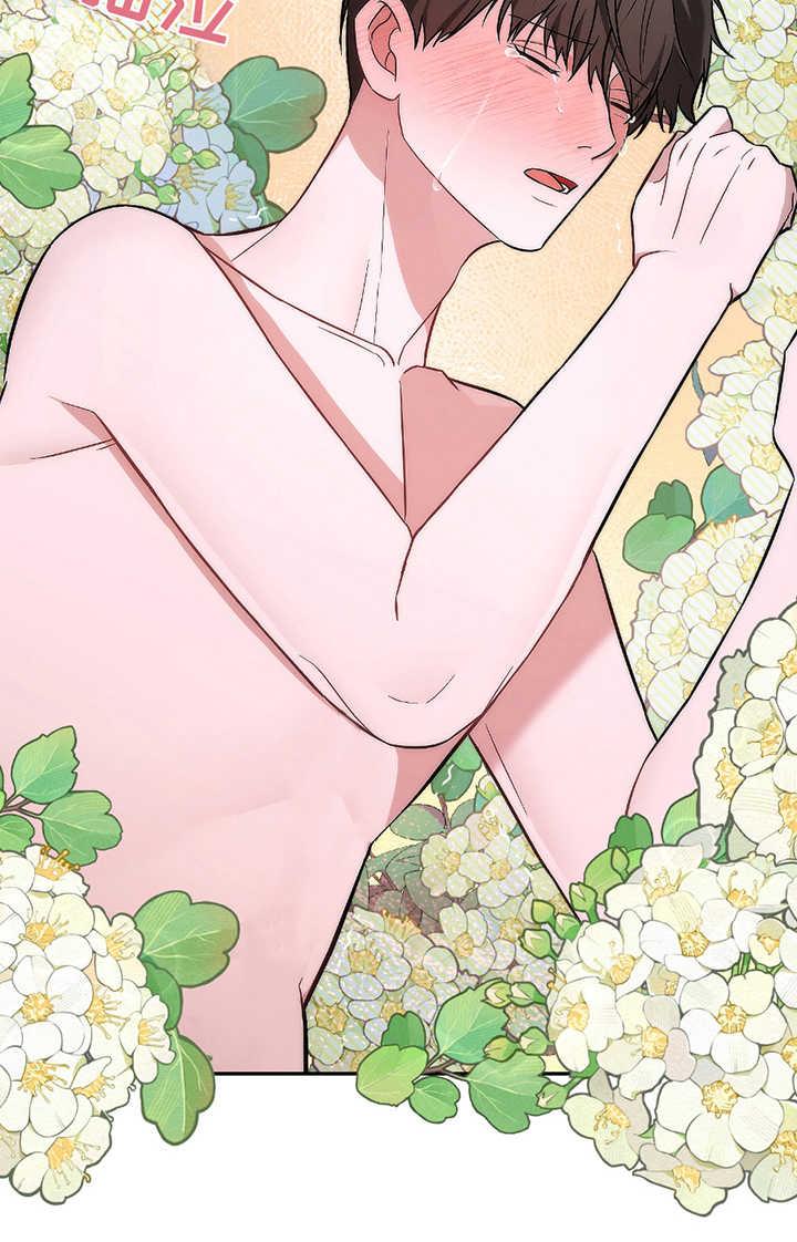 刺猬爱上猫咪漫画,第12章：发晕1图