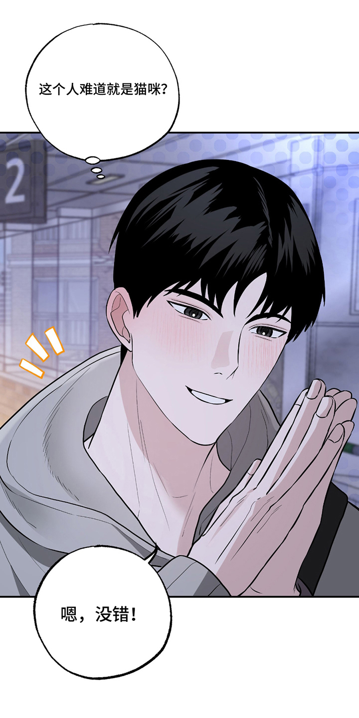 茄子爱上猫漫画,第1章：线下相见1图