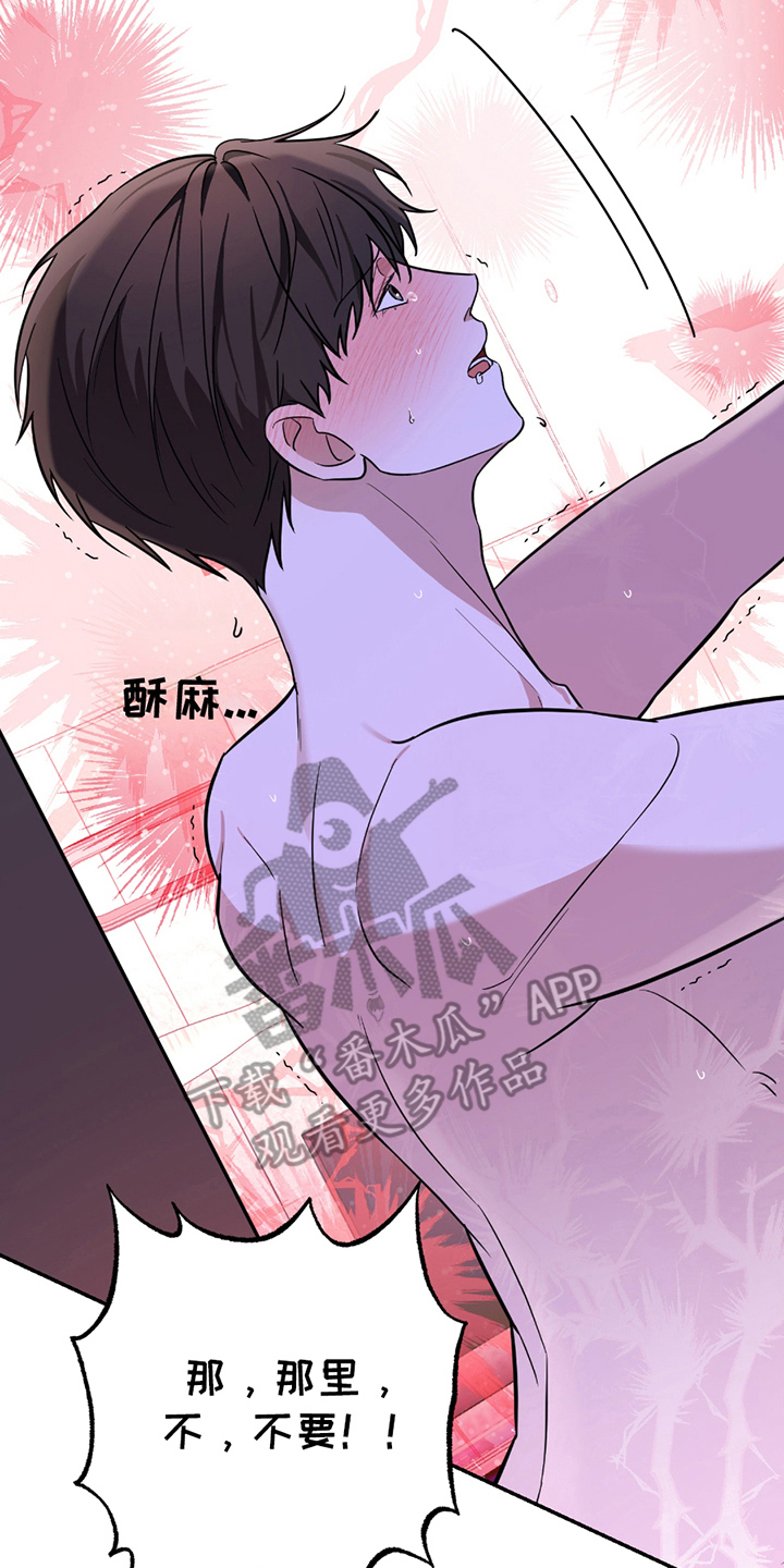 茄子爱上猫漫画,第12章：发晕4图
