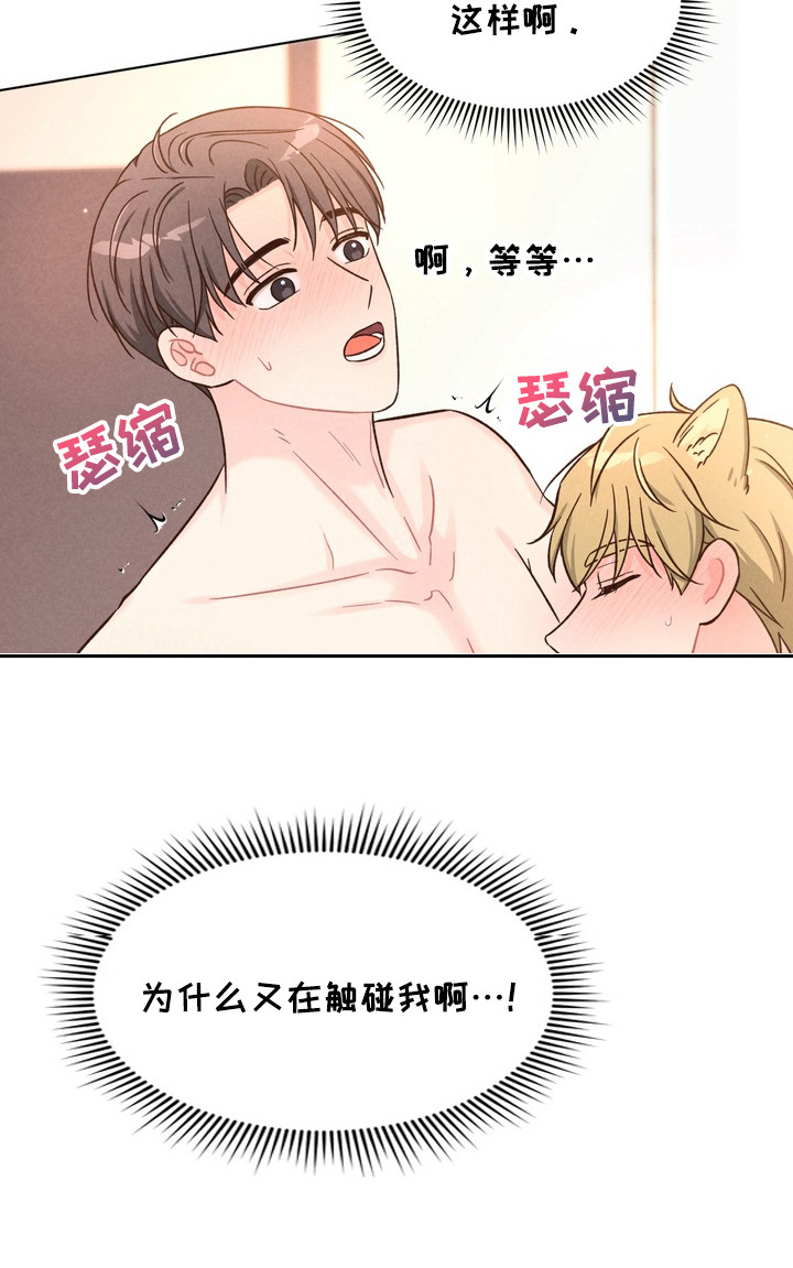 奇妙的兽耳漫画,第6章：亲自帮忙4图