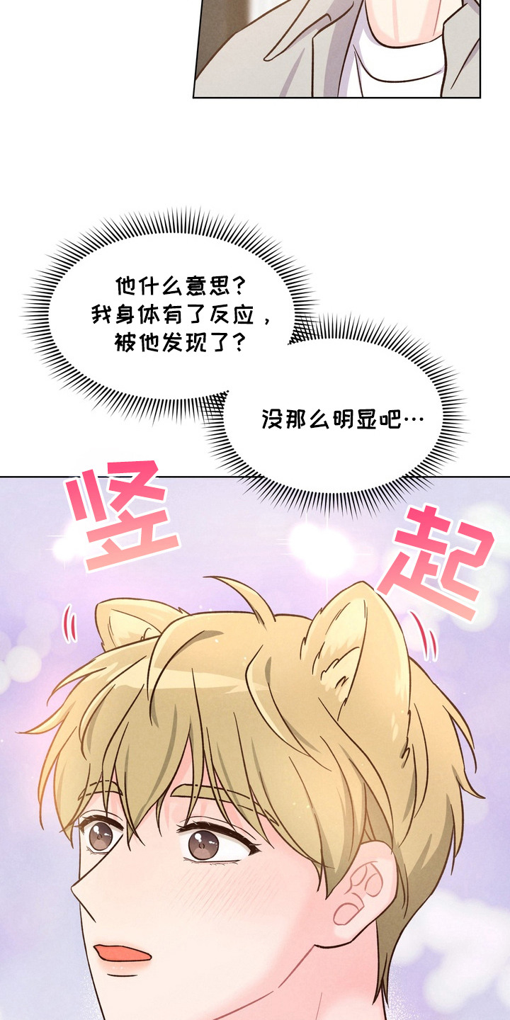 奇妙的兽耳漫画,第2章：动物耳朵4图