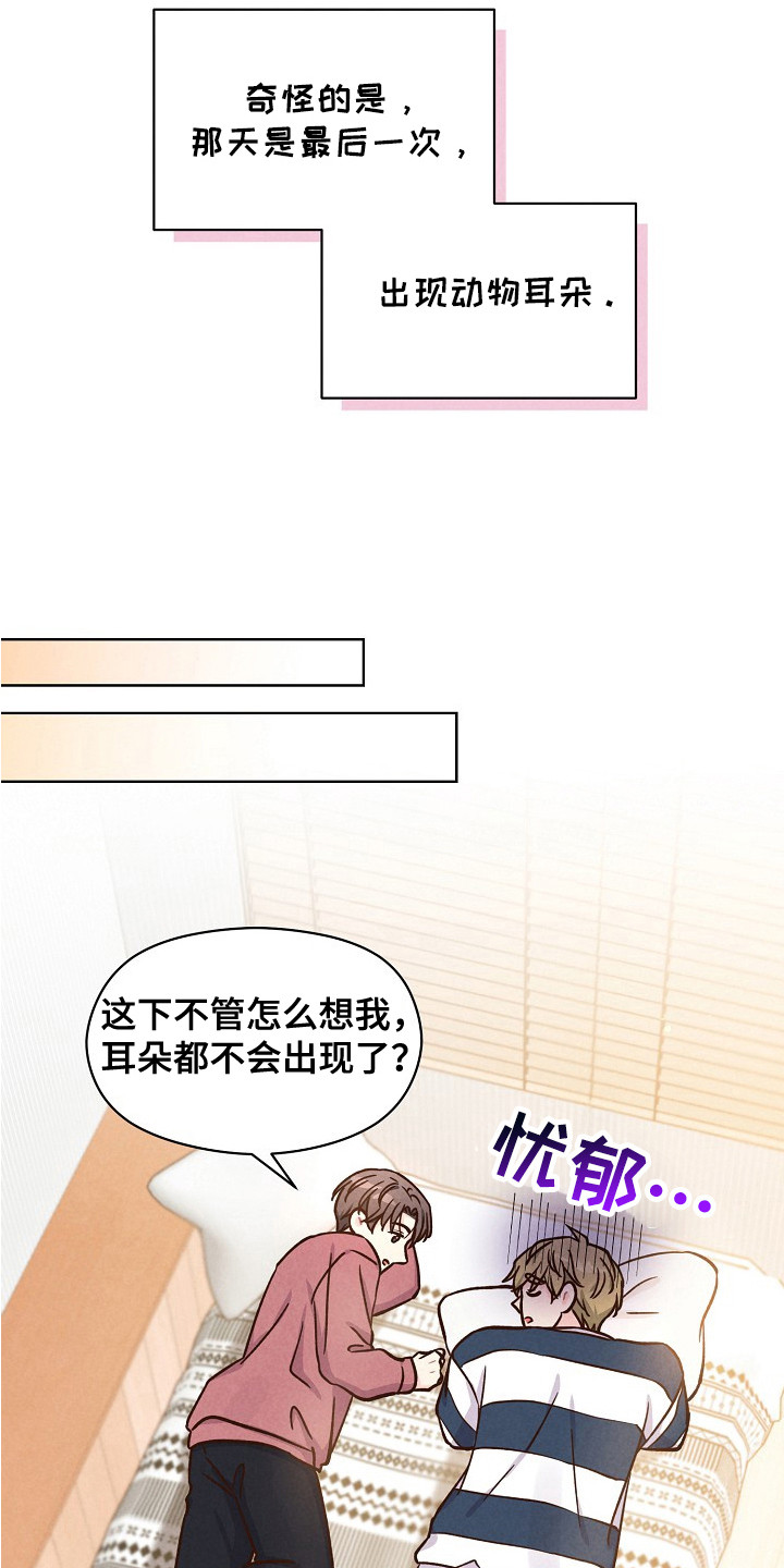 奇妙的兽耳漫画,第16章：可爱的你（完结）1图