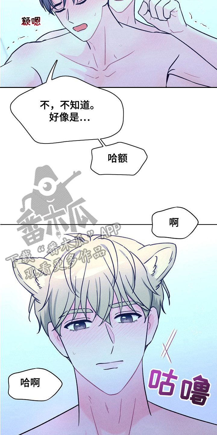 奇妙的兽耳漫画,第15章：答应了5图