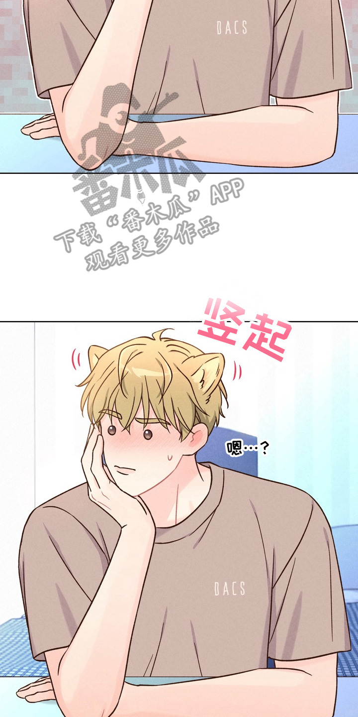 奇妙的兽耳漫画,第4章：搜集情报5图