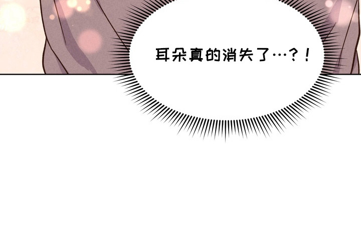 奇妙的兽耳漫画,第7章：不可思议5图