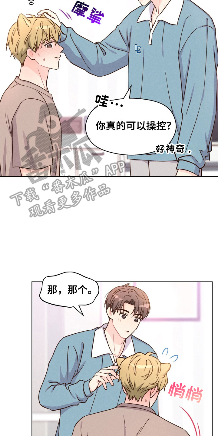 奇妙的兽耳漫画,第5章：再试一次2图