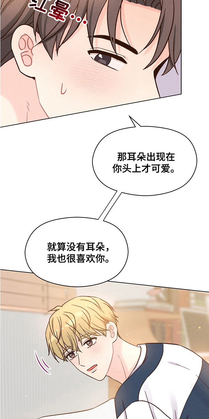 奇妙的兽耳漫画,第16章：可爱的你（完结）1图