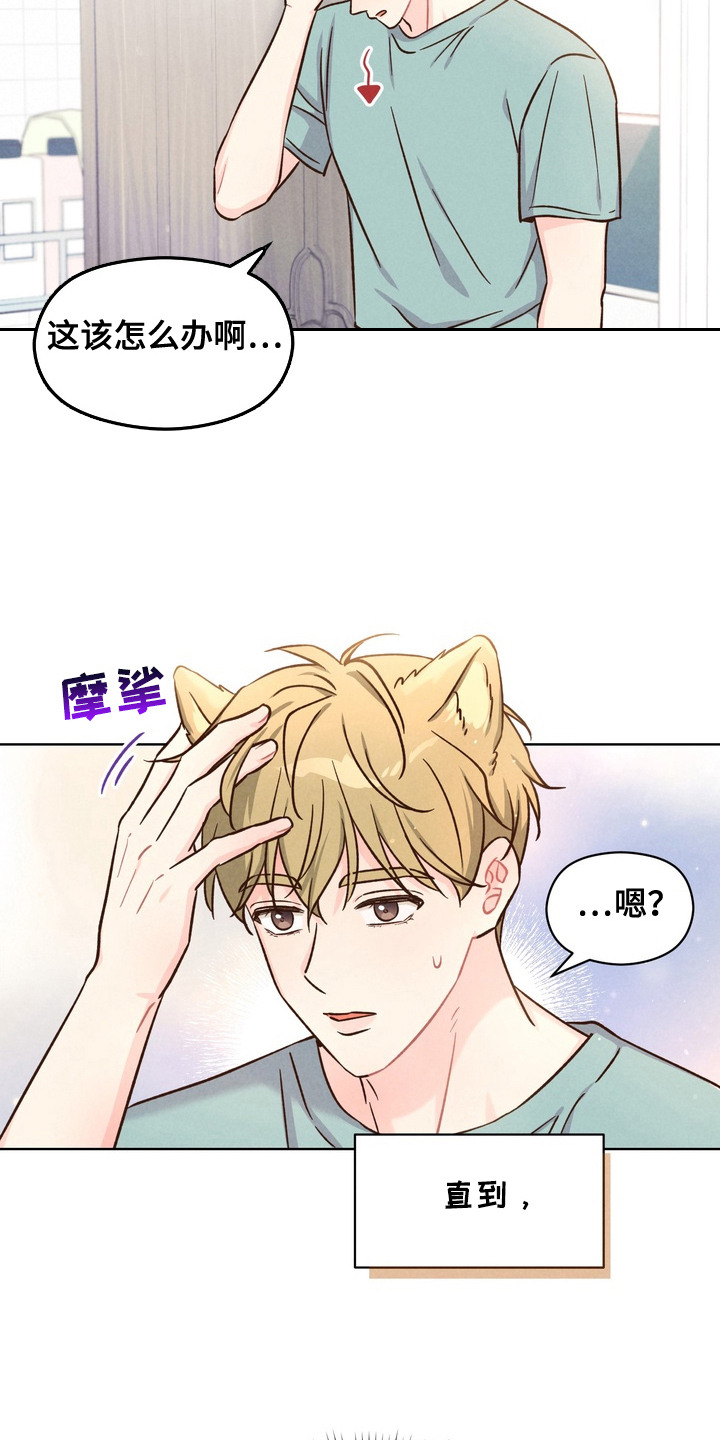 奇妙的兽耳漫画,第1章：许愿1图