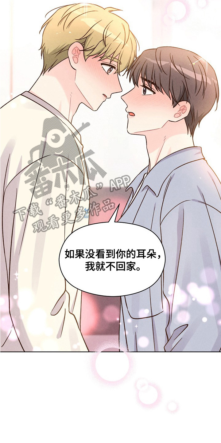 奇妙的兽耳漫画,第12章：很为难5图