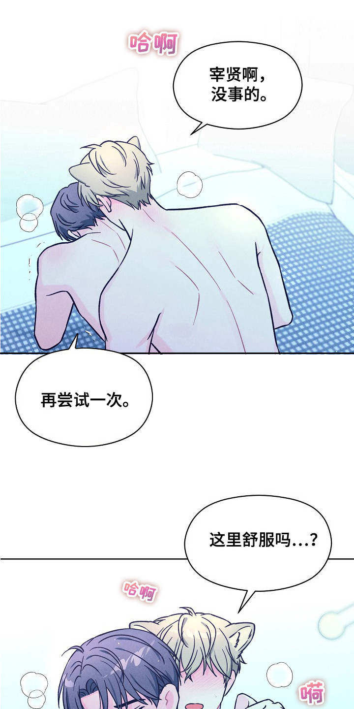 奇妙的兽耳漫画,第15章：答应了4图