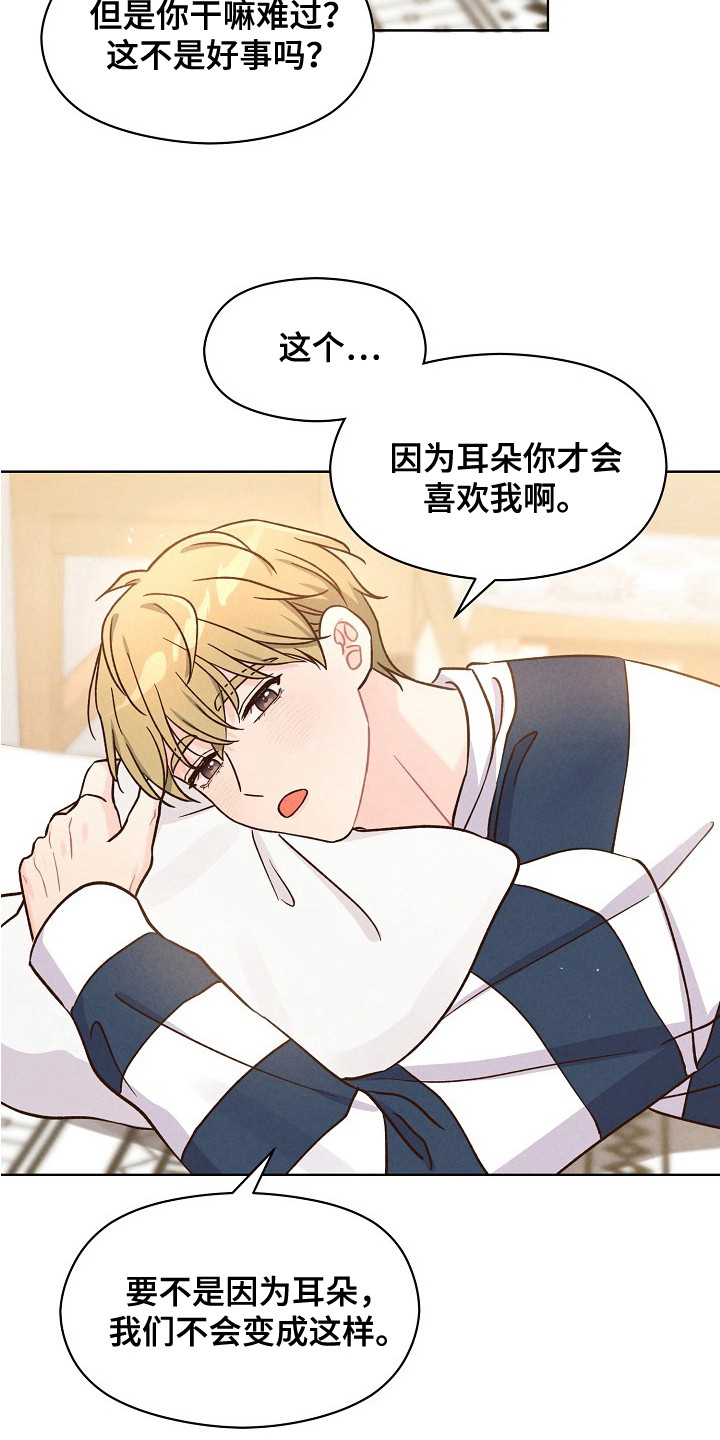 奇妙的兽耳漫画,第16章：可爱的你（完结）3图