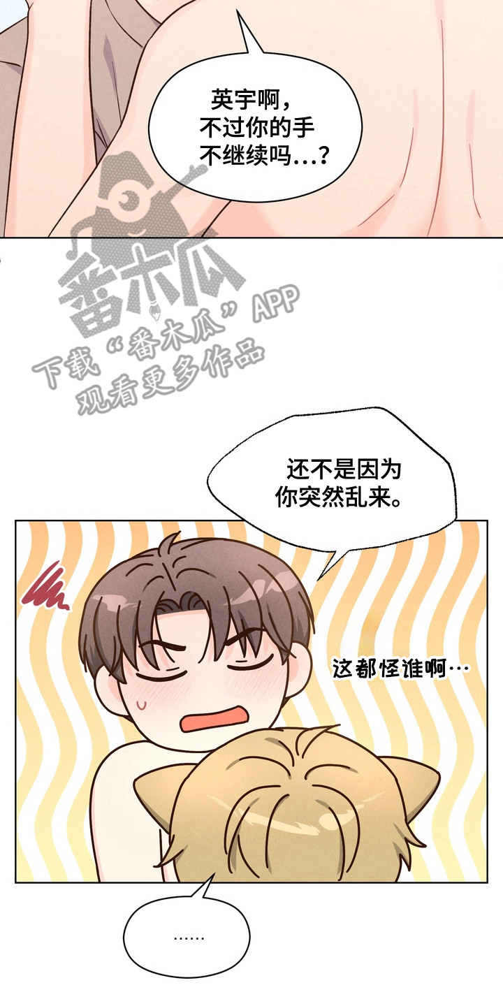 奇妙的兽耳漫画,第6章：亲自帮忙4图