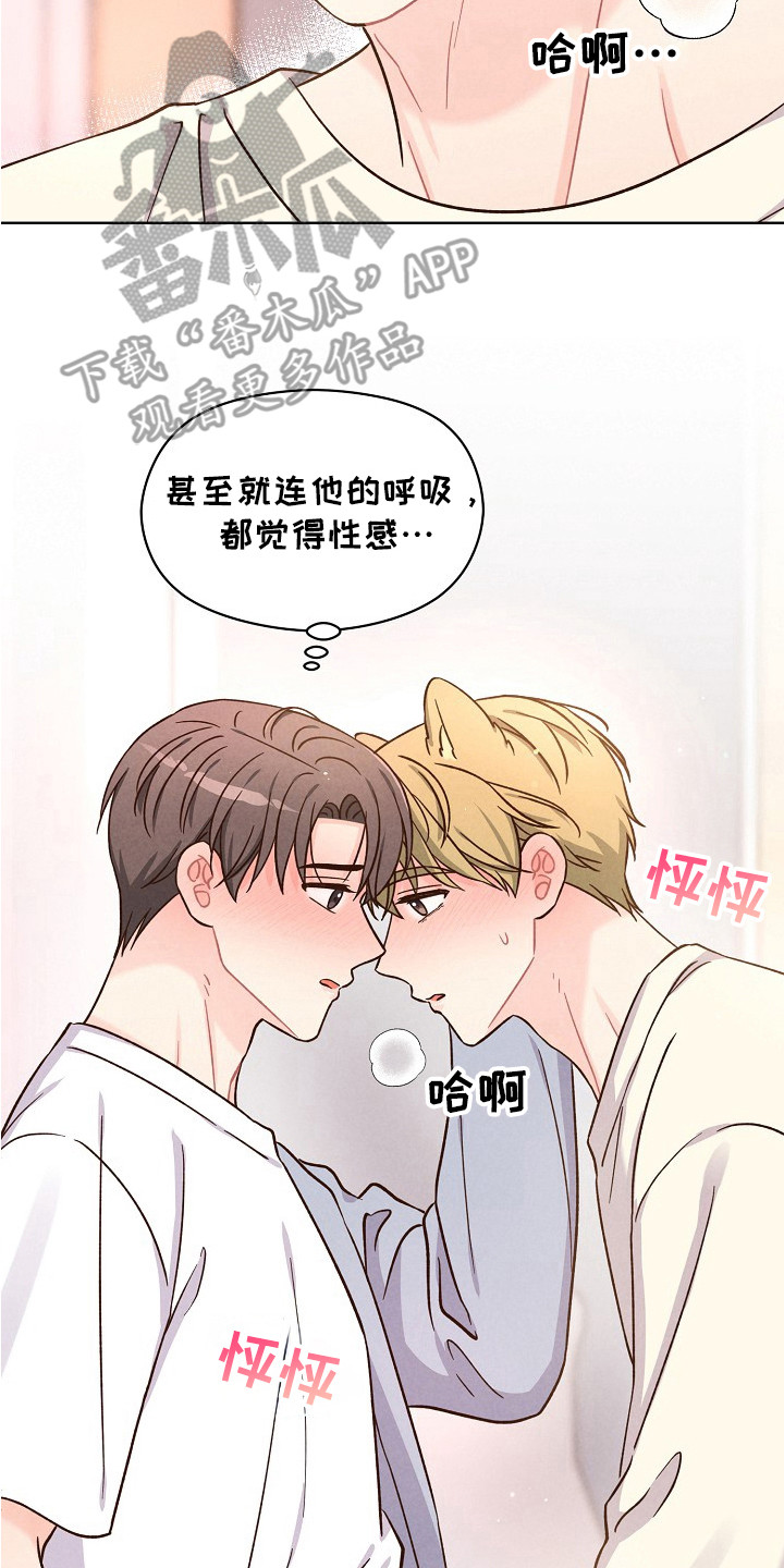 奇妙的兽耳漫画,第13章：按耐不住4图