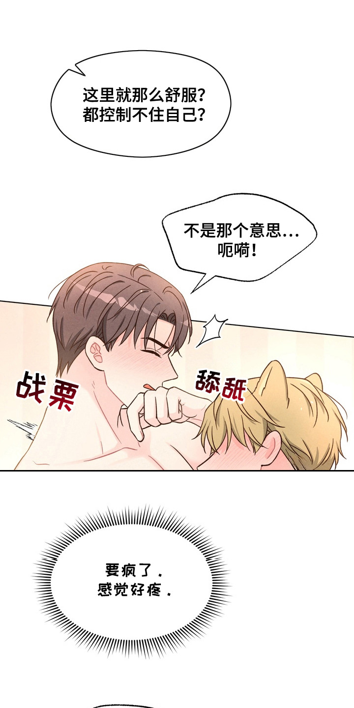 奇妙的兽耳漫画,第6章：亲自帮忙5图