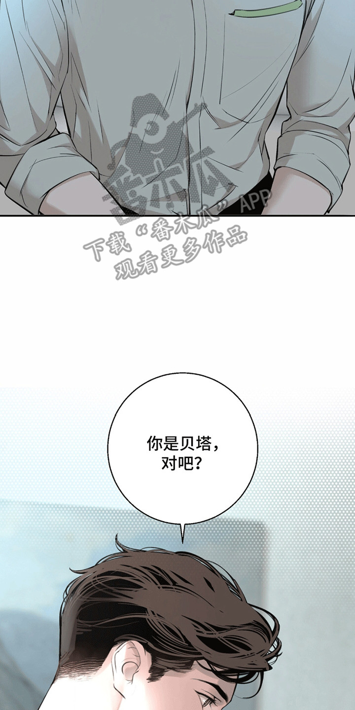 冲刺吧泳池冠军漫画,第17章：看不透4图